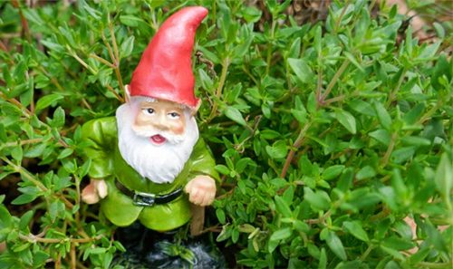 Lawn Care Trivia Blog Post
